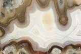 Polished, Banded Agate Nodule Section - Kerrouchen, Morocco #186976-1